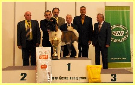   Mezinárodní výstava České Budějovice 2010 Ike BIS - Nejkrásnější pes výstavy !!! 